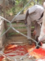 Worker in slaughterhouse